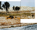  clik 4 Big Pic. 