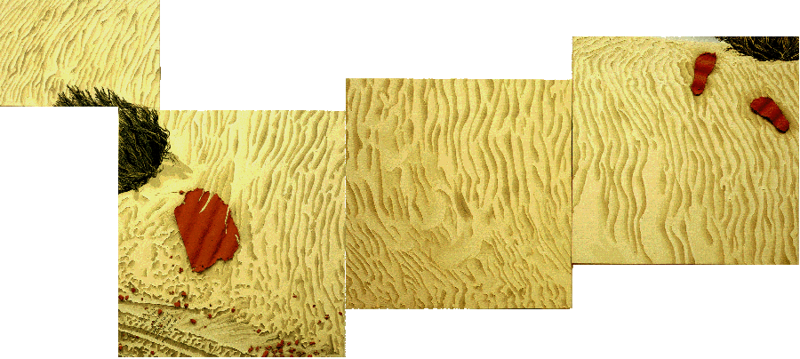 BACK -- חזרה