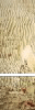  clik 4 Big Pic. 