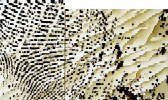  clik 4 Big Pic. 