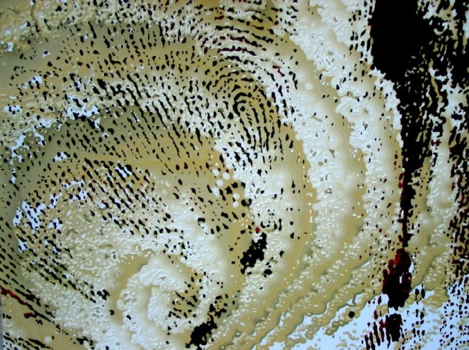 BACK -- חזרה
