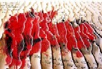  clik 4 Big Pic. 