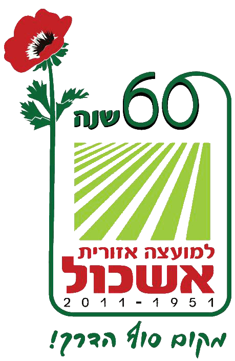  60 למ.א. אשכול 